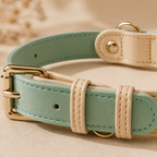 Aura™ Signature Collar