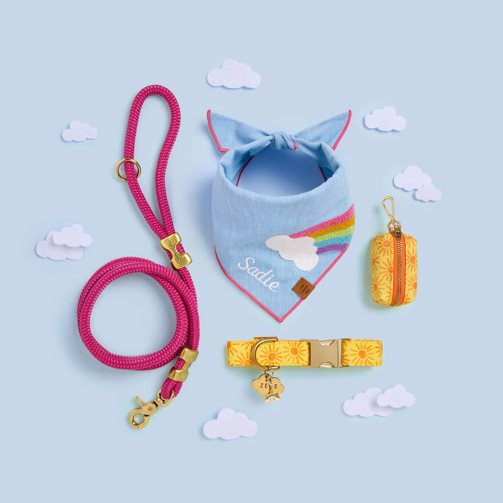 Cloud Pet ID Tag