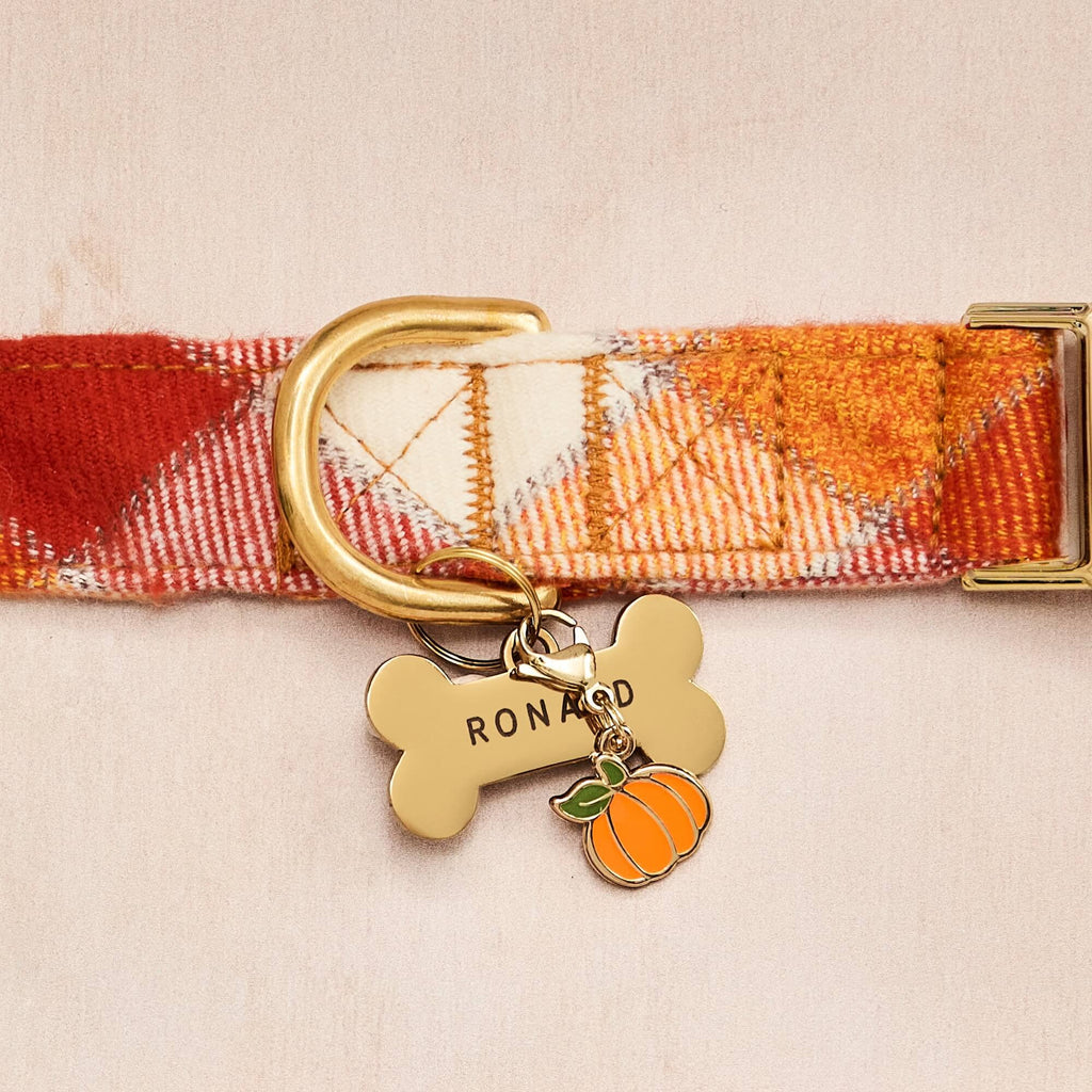 Pumpkin Collar Charm