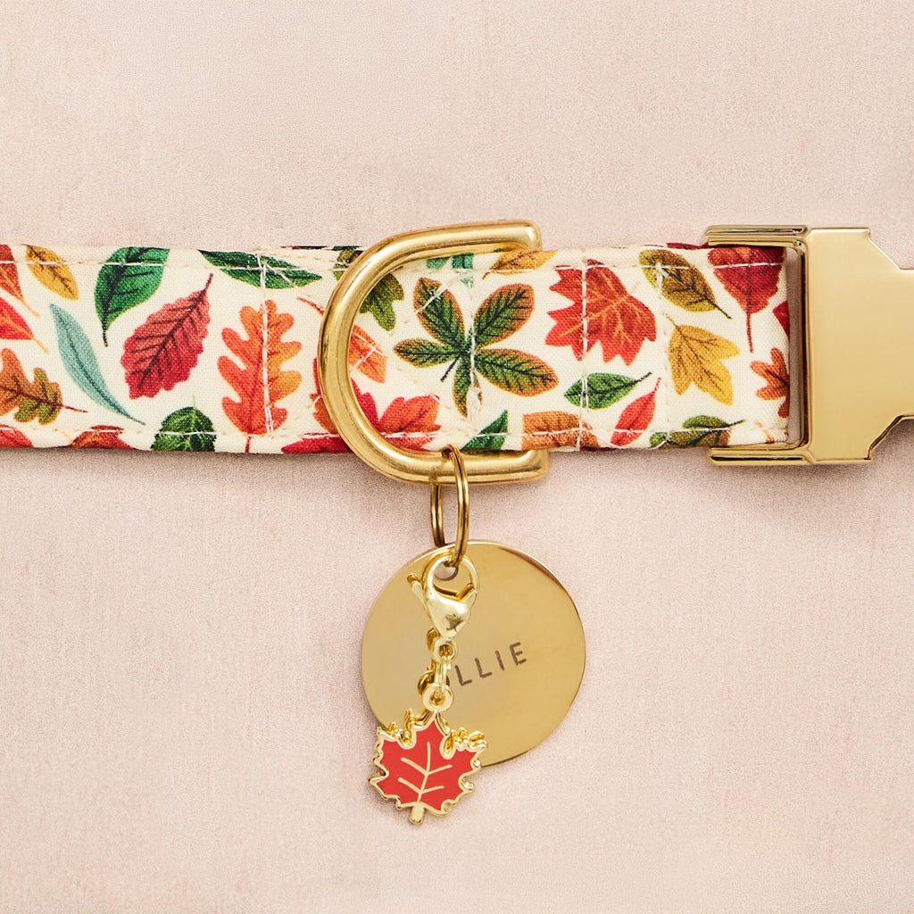 Circle Pet ID Tag
