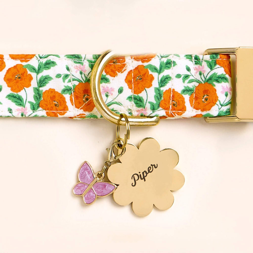 Butterfly Collar Charm
