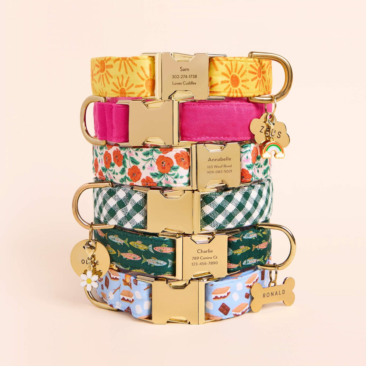 Here Comes the Sun Dog Collar