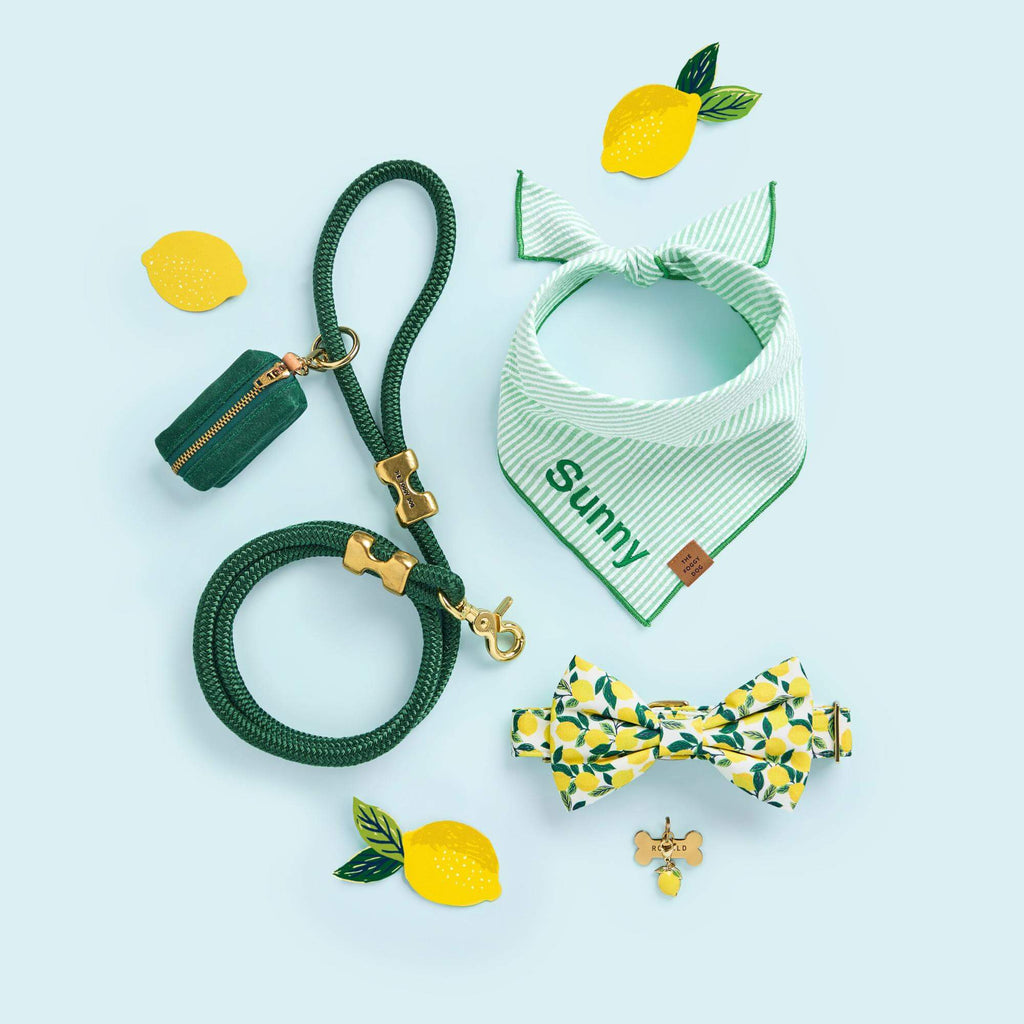 Lemon Zest Dog Collar