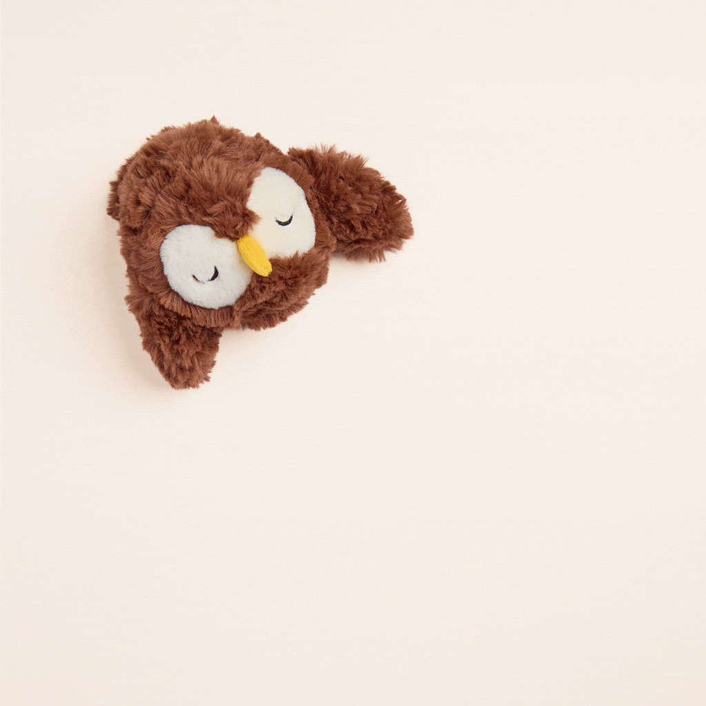 Owl 2-in-1 Bounce Dog Toy