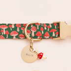 Toadstool Collar Charm