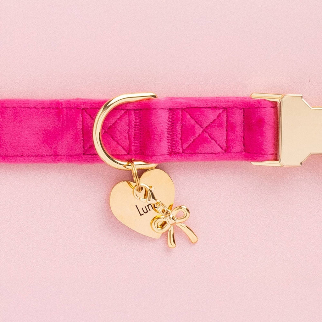 Heart Pet ID Tag