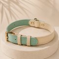 Aura™ Signature Collar