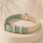 Aura™ Signature Collar