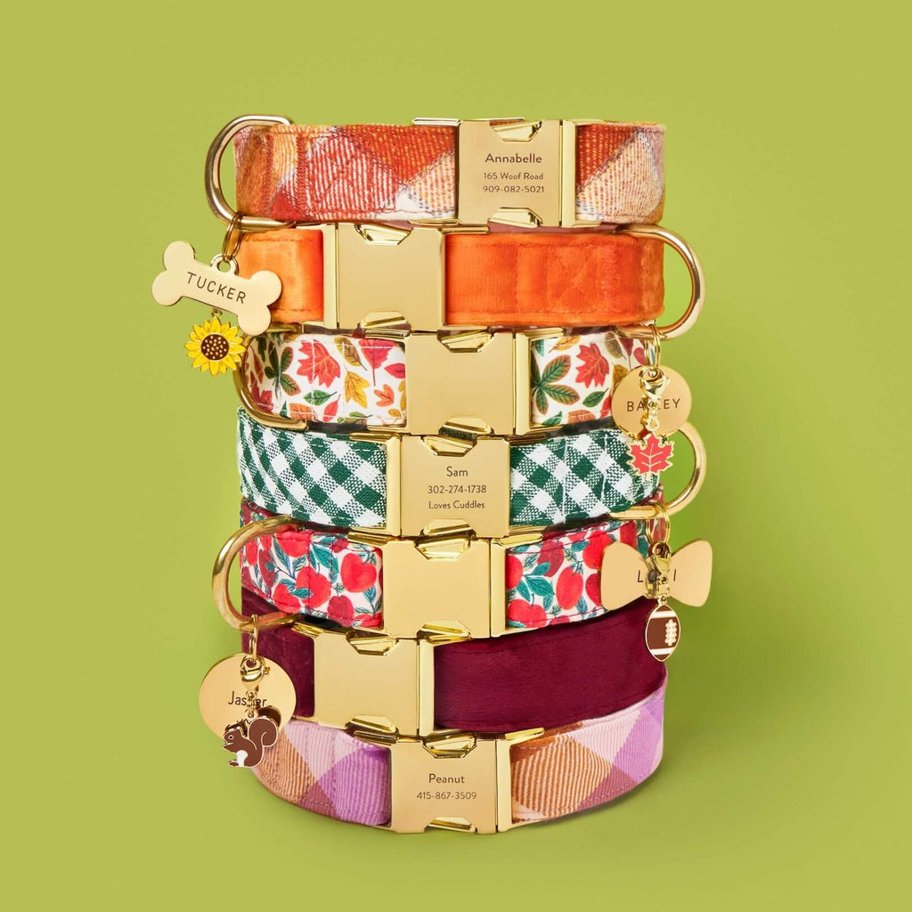 Pumpkin Spice Plaid Flannel Dog Collar