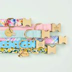 Blush Pink Velvet Dog Collar