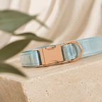 Lua Blue™ Velvet Collar
