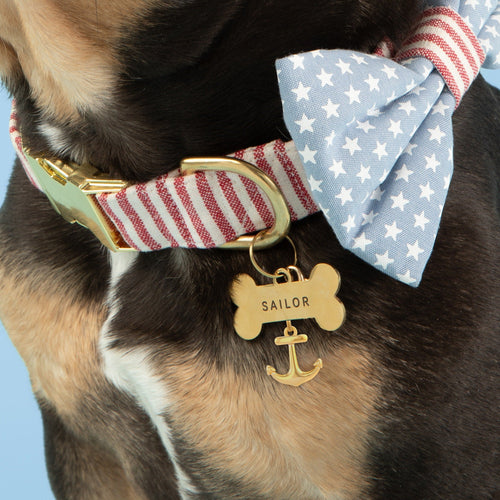 Anchors Away Collar Charm Set