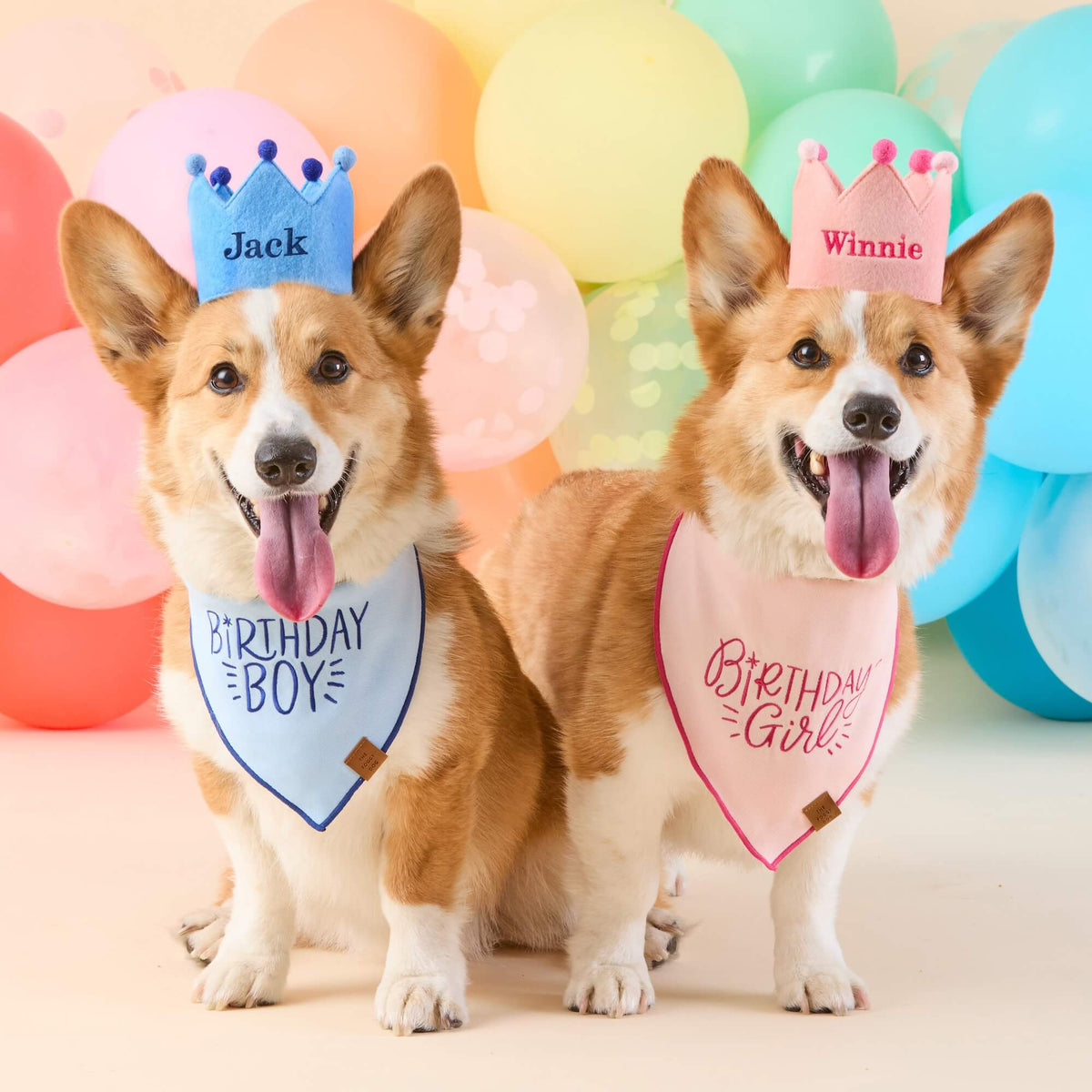 Blush Pink Dog Birthday Crown