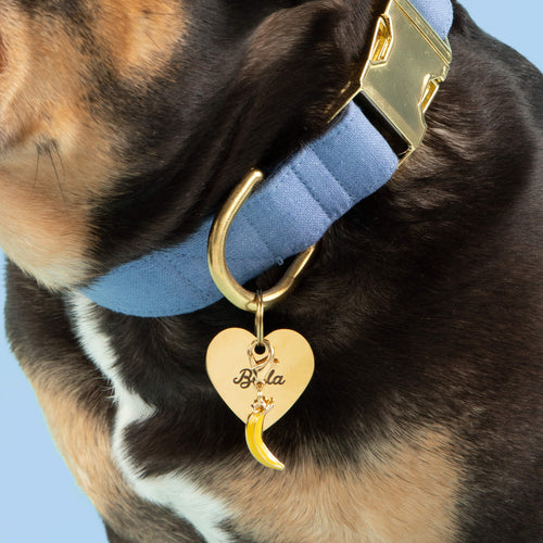 Banana Collar Charm