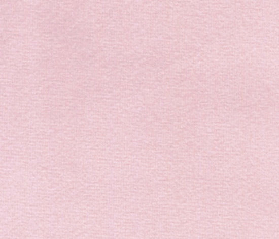 Blush Pink Velvet Lady Dog Bow