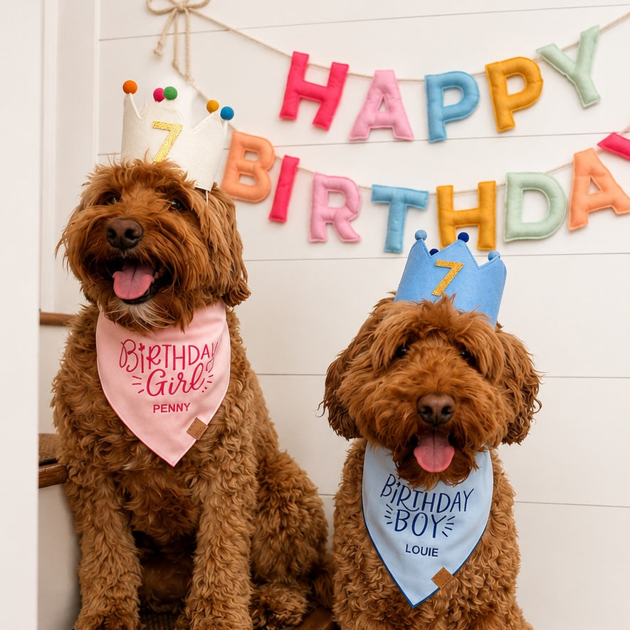 Meri Meri Felt Happy Birthday Garland