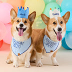 Ivory Dog Birthday Crown