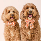 Cider Gingham Dog Bow Tie