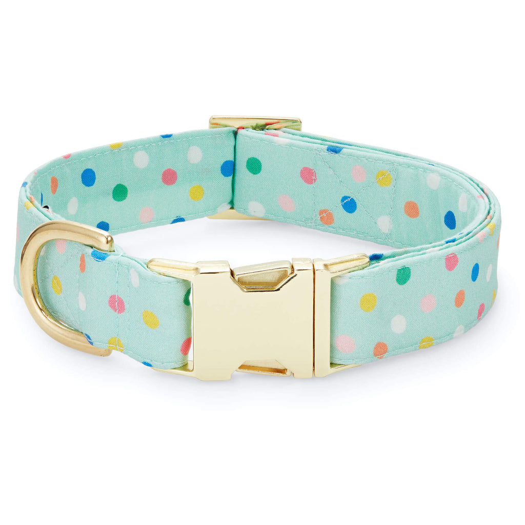 Confetti Dots Bow Tie Collar