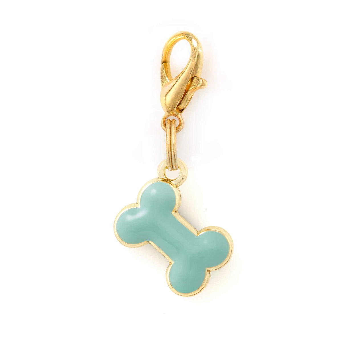Bone Collar Charm