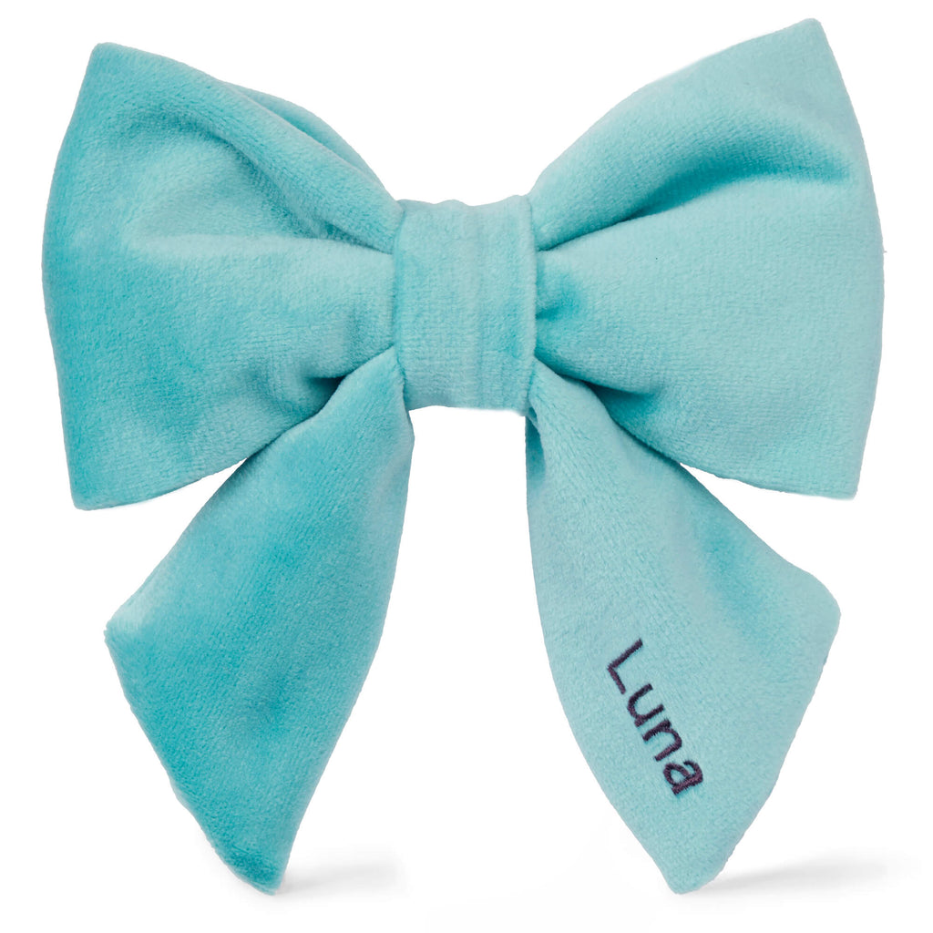 Robin’s Egg Velvet Lady Dog Bow