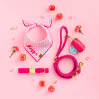 Hot Pink Dog Collar