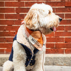 Pumpkin Spice Plaid Flannel Dog Bandana