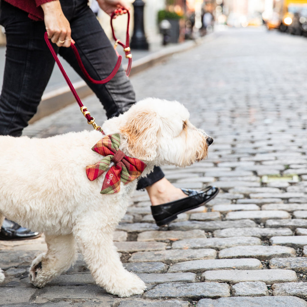 Orchard Plaid Flannel Lady Dog Bow