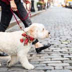 Orchard Plaid Flannel Lady Dog Bow