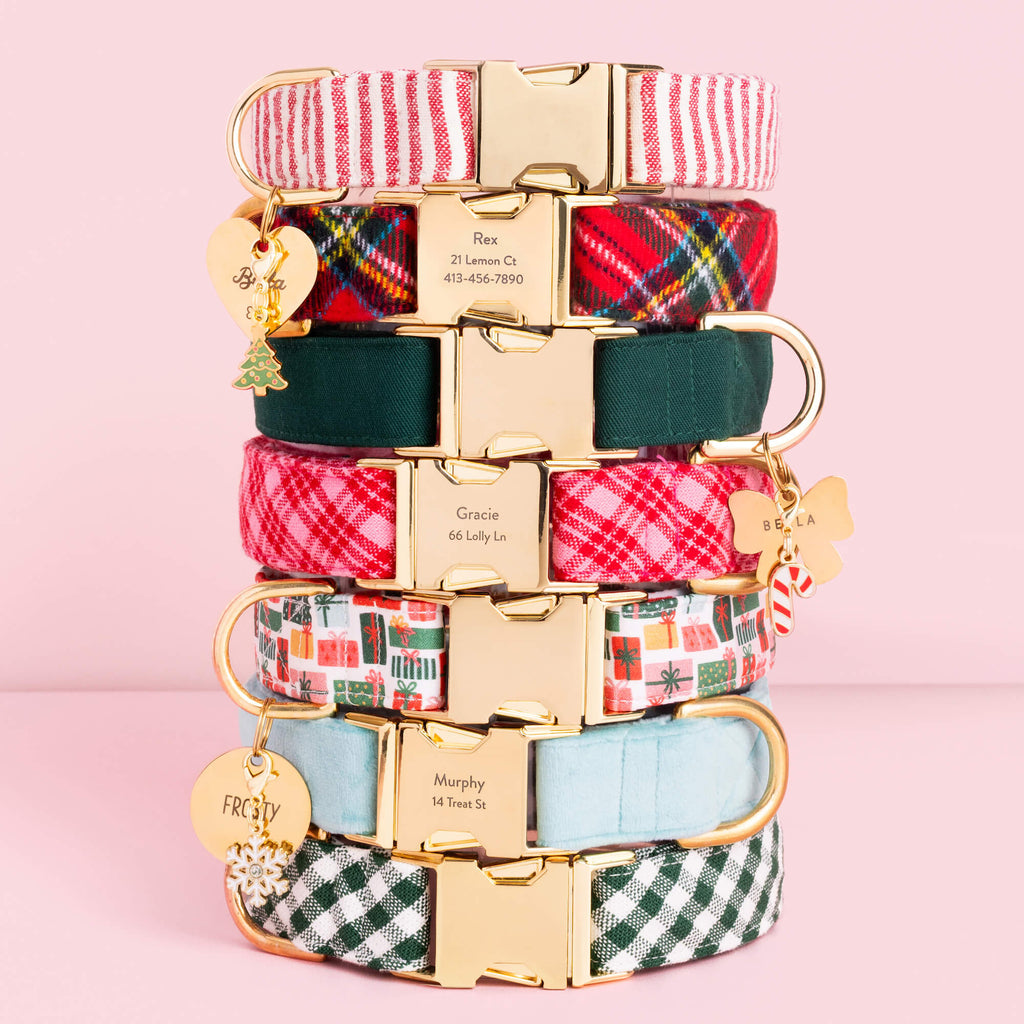 Lady Bow Pet ID Tag