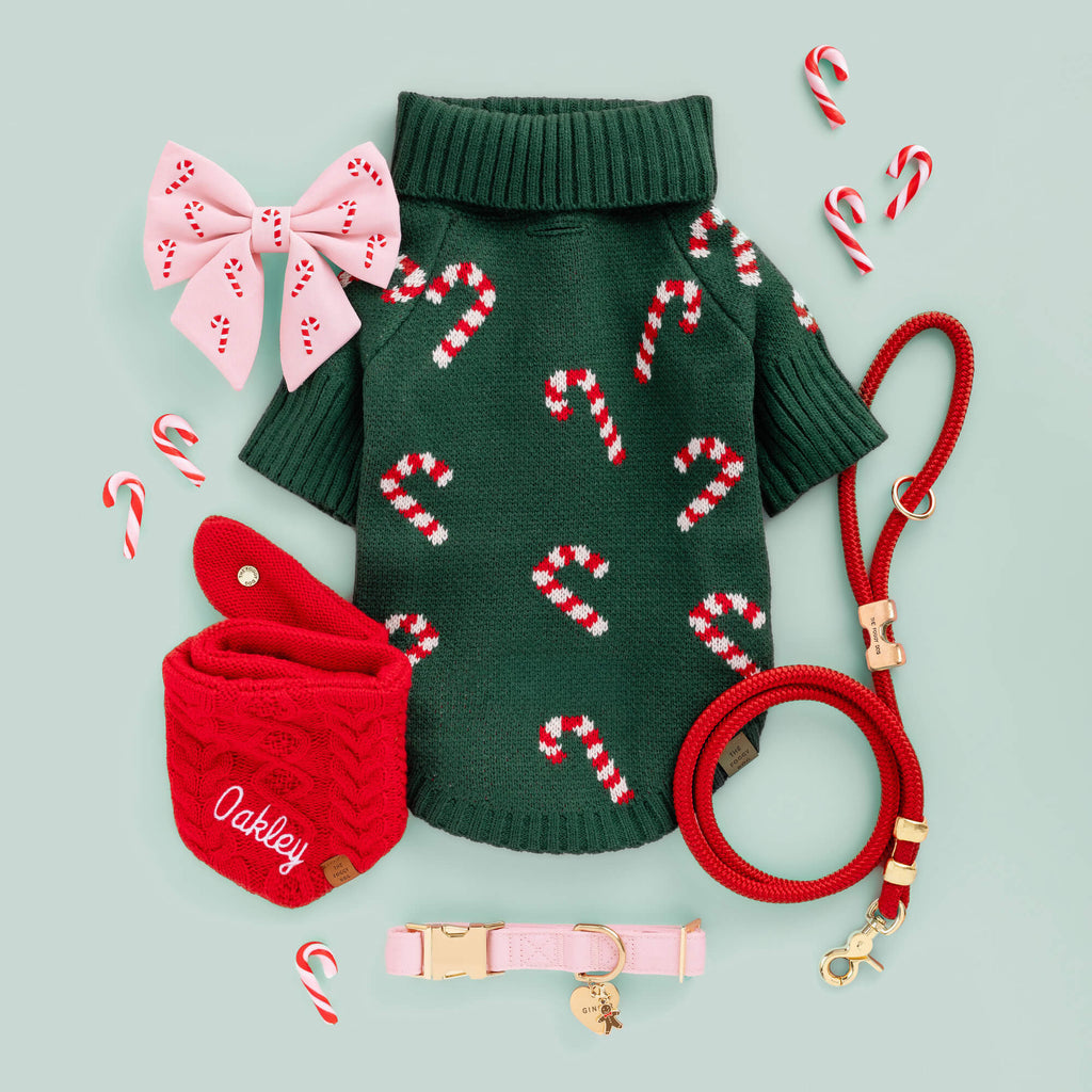 Cable Knit Dog Bandana