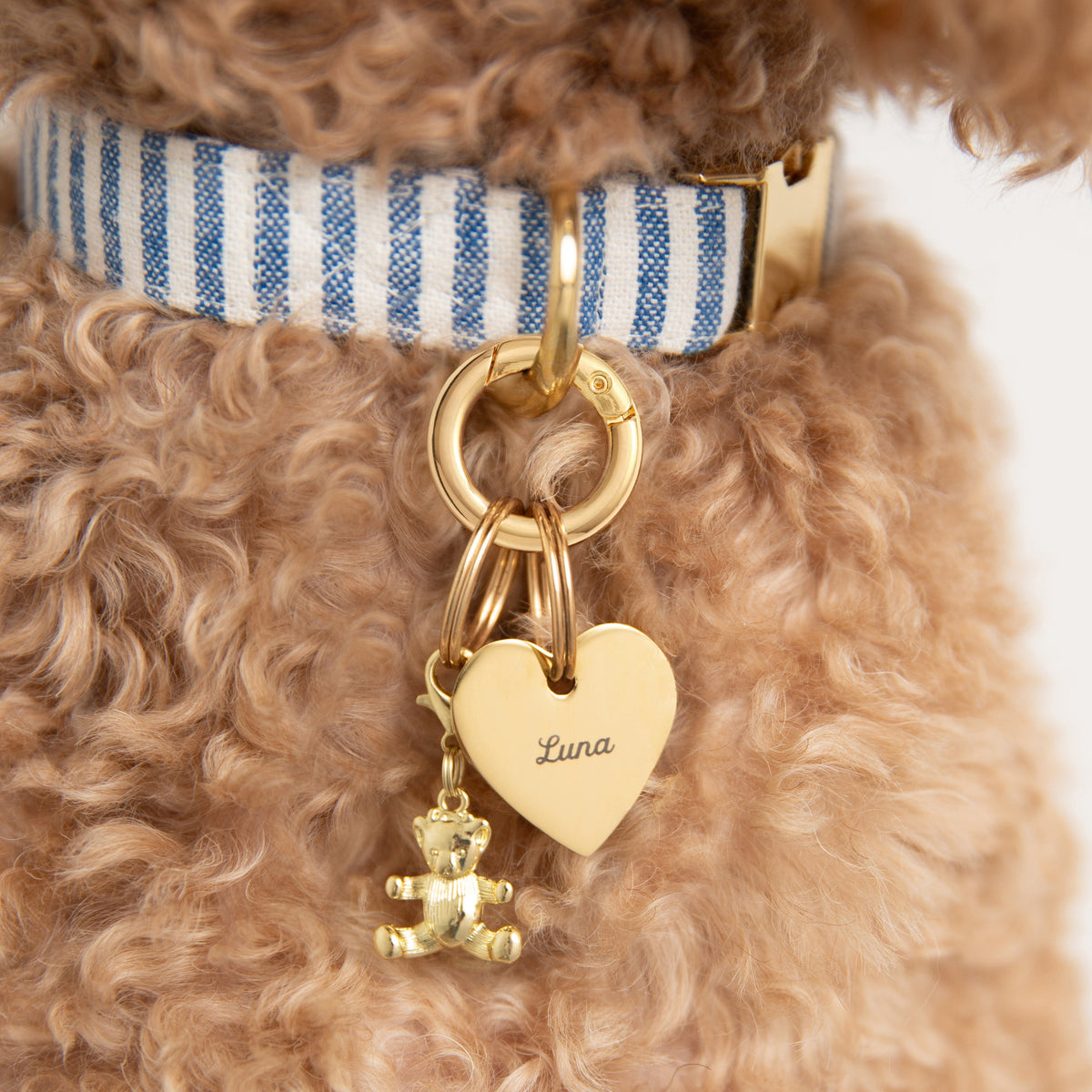 Heart Pet ID Tag