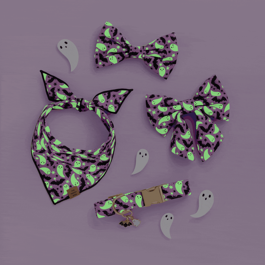 Spooky Season Dog Bow Tie