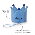 Light Blue Dog Birthday Crown