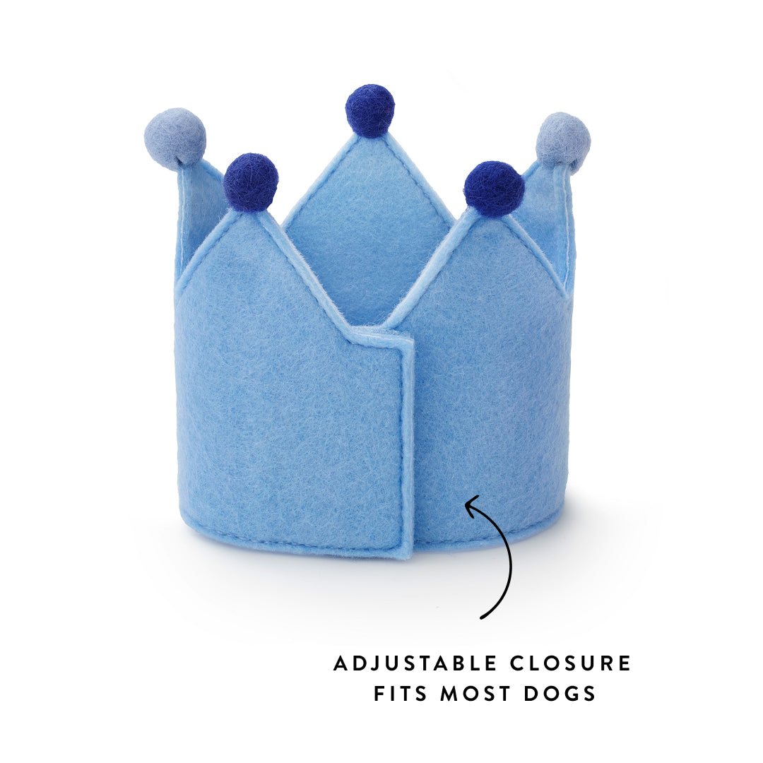 Light Blue Dog Birthday Crown