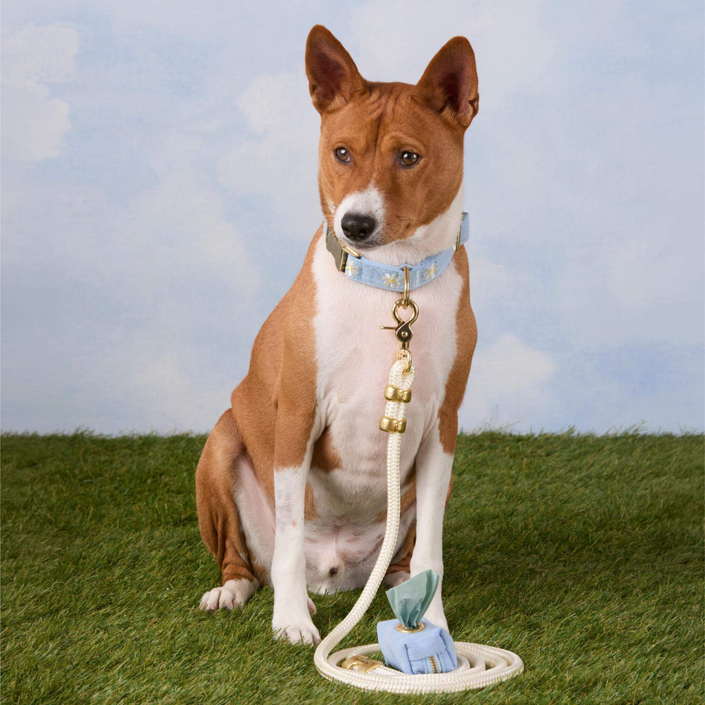 Ivory Marine Rope Dog Leash