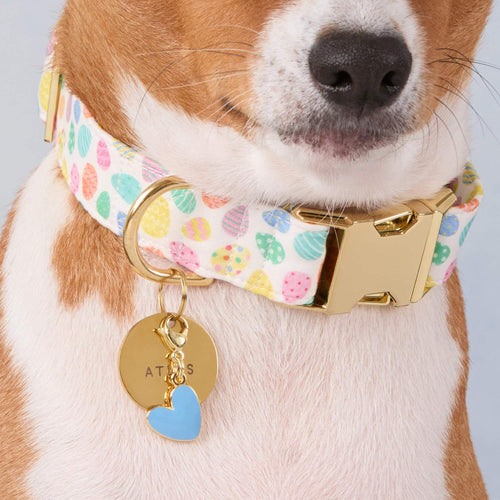 Blue Heart Collar Charm