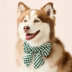 Evergreen Gingham Lady Dog Bow