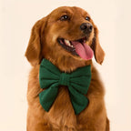 Evergreen Herringbone Flannel Lady Dog Bow
