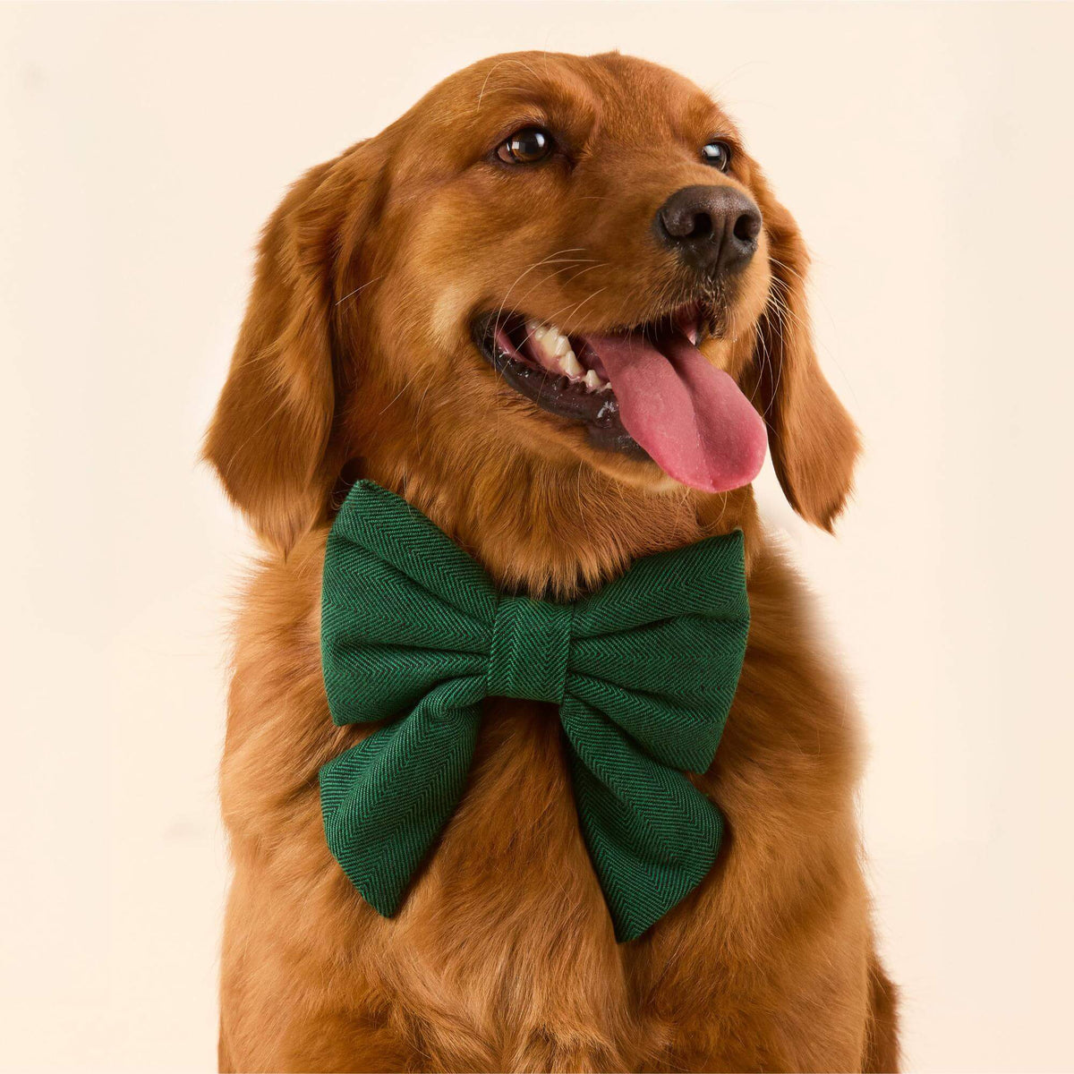 Evergreen Herringbone Flannel Lady Dog Bow
