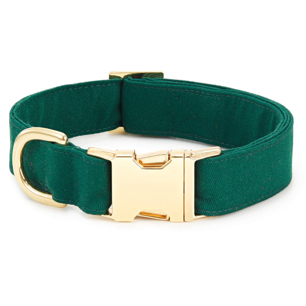 Fall Foliage Embroidered Lady Bow Collar