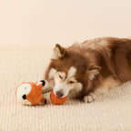 Fox 2-in-1 Bounce Dog Toy