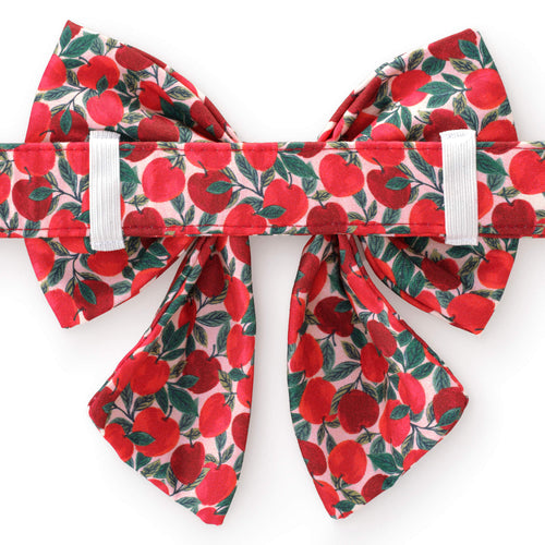 Apple of My Eye Lady Dog Bow