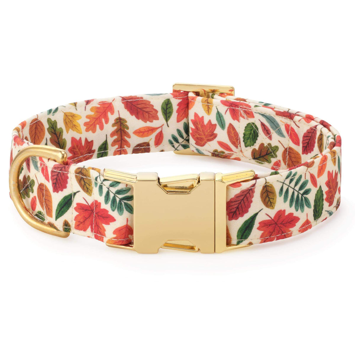 Falling Leaves Collar Walk Set