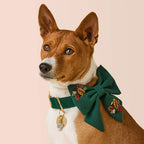 Fall Foliage Embroidered Lady Bow Collar