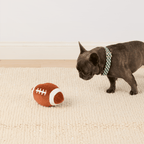 Football Interactive Snuffle Dog Toy