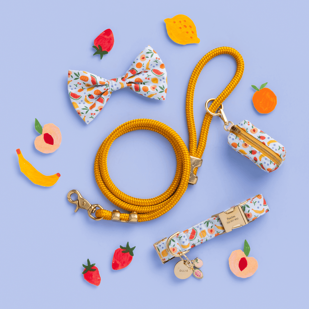 Peach Collar Charm