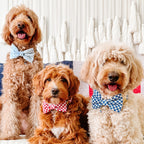 Red Gingham Dog Bow Tie