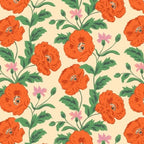 Golden Poppies Collar Walk Set