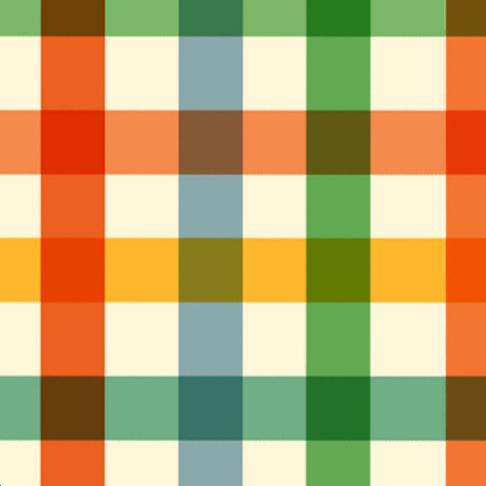 Harvest Gingham Collar Walk Set